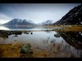 Bjork - The modern things - gfxdsigner Bjork - The modern things