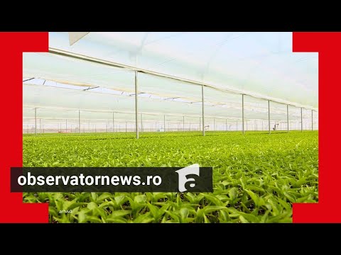 Nou impozit introdus pentru o categorie de români. "Taxă peste taxă"