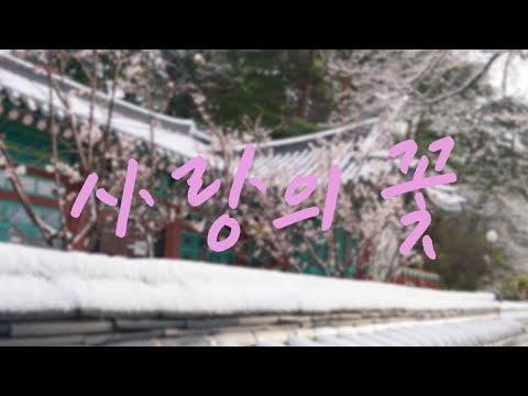 [Royalty Free Music] Flower of Love (East/Traditional/Ballad)