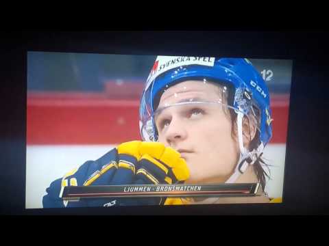 JVM - FINLAND GULD 2016(2)