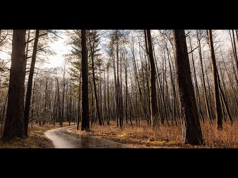 Wetter heute: Die aktuelle Vorhersage (03.03.2020)