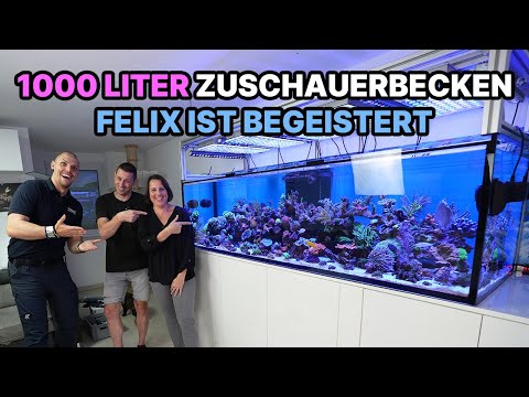 1000 LITER PRIVATAQUARIUM von Lehrern - Felix besucht Zuschauer!
