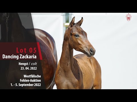 Fohlen-Auktion Lot 05  Dancing Zackaria Hengst v. Dynamic Dream - Zack