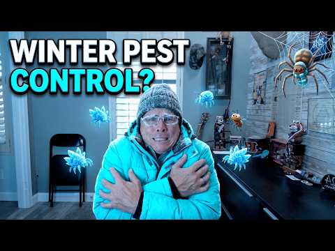 Do You Really Need Pest Control in an Arizona Winter?