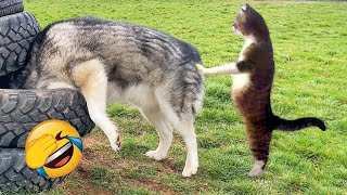 Try Not To Laugh 😂 Funniest Cats and Dogs 2024 😹🐶 Part 17