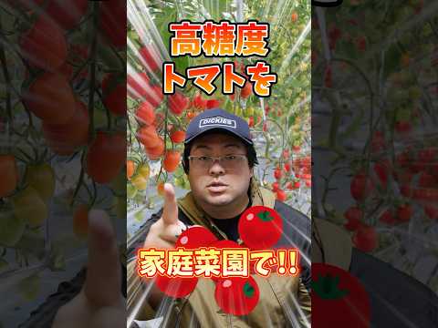 肥料としての卵