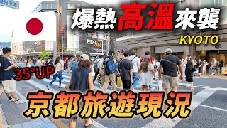 🇯🇵  京都連日35度UP 走在路上像在洗三溫暖🔥！日本高溫來襲 當地旅遊的人還多嗎？｜ 遊日本 京都