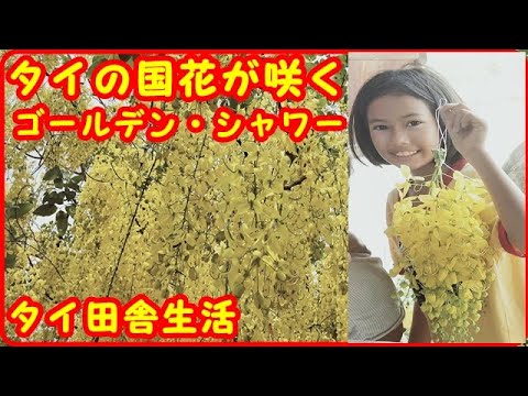 ゴールデンシャワー