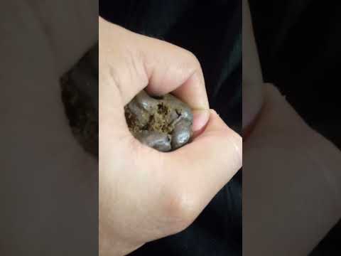 |World Best Hashish|