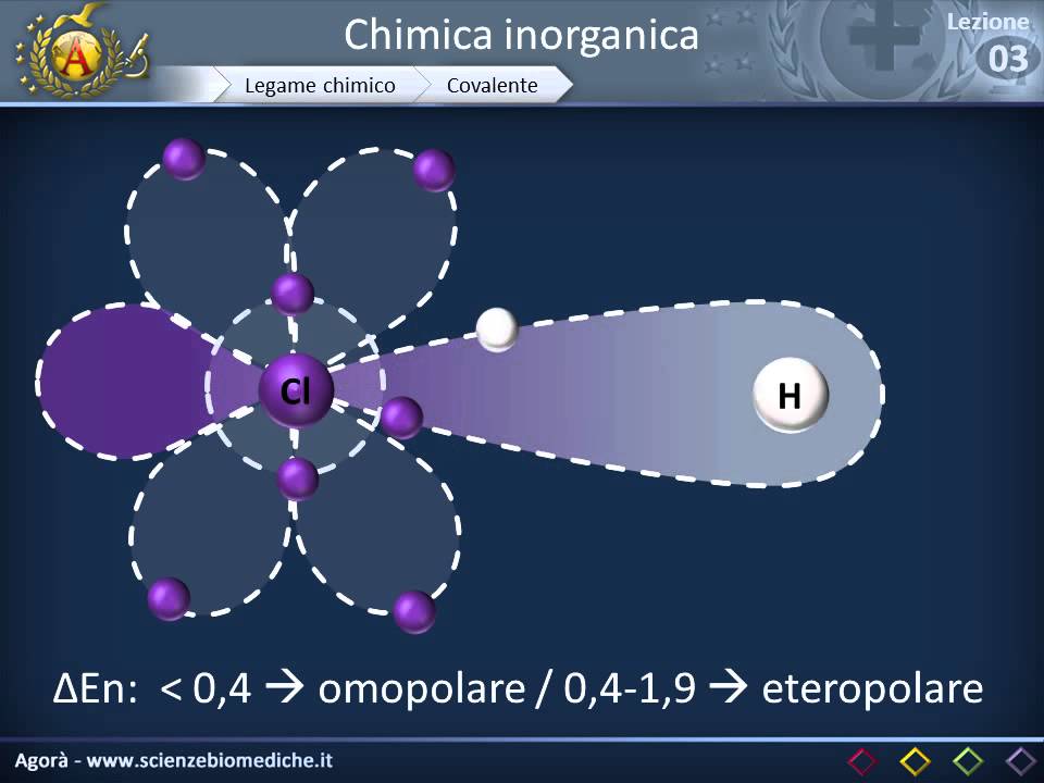 Molecole e legami chimici