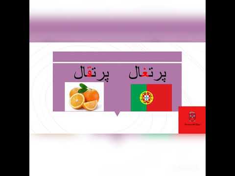 similar Persian/Farsi vocabularies with a lot of difference in meanings