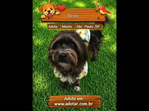 Vídeo de Bento