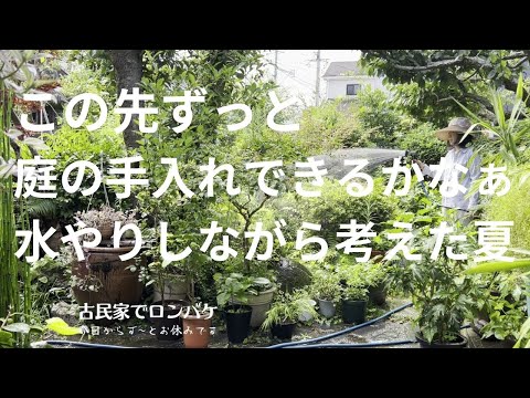 バスルームに蘭を置くことができますか: 湿度レベルと光の流れに関するアドバイス  庭園