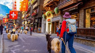 4K Walking Tour Zermatt 🇨🇭 Traditional Goat Parade & Matterhorn Village Walk