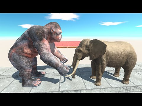 Mutant Primates Vs MODERN MAMMAL Who is The BOSS ? - Animal Revolt Battle Simulator
