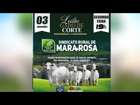 LEILÃO DE GADO DE CORTE - SINDICATO RURAL DE MARA ROSA 03/11/2025