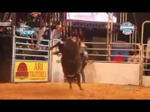 Lucas divino vs digmon