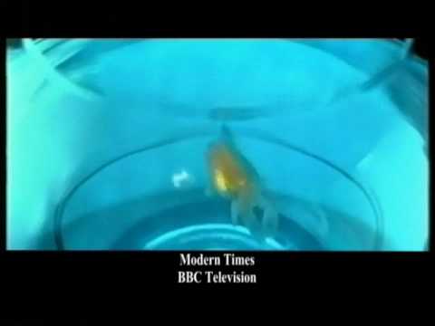 Tolga Kashif Bespoke Showreel - BBC "Modern Times"