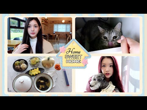 [vlog] 집에서 보낸 연휴 브이로그🏠ㅣ쌍둥이랑 칸쵸깡 ・ 고양이랑 놀기 ・ 가족들과 호캉스 ・ 사랑 가득 집밥ㅣHSH (HOME SWEET HOME)