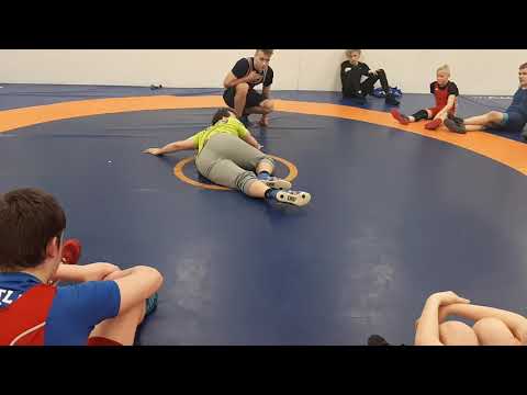 Mattopuolustus by Ala-Huikku