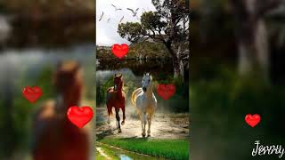 Me duele tu ausencia Grupo Laberinto