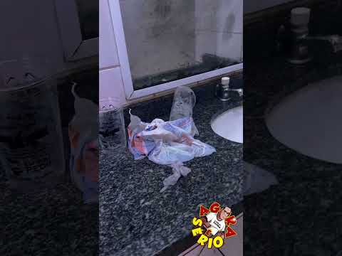 SEGUNDA FEIRA DIA DA VERGONHA EM JUQUITIBA BANHEIRO DA PRAÇA DO BECK DA CIDADE QUE NÃO DEU CERTO