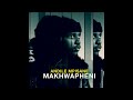 Andile Mpisane Makhwapheni