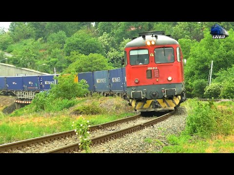 Trenuri in Oradea  🚆🚅🚆🚂 Trains in Oradea - 17 May 2022