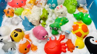 Sea Animals toys for kids, zoo animal toys, Farm Animals toys for toddlers, wild animals for kids