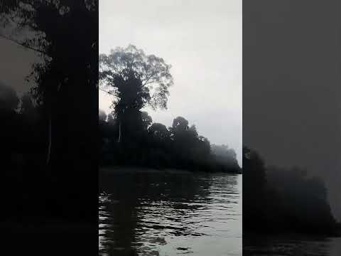 Río Corrientes(Amazonas norte del Perú, región Loreto)