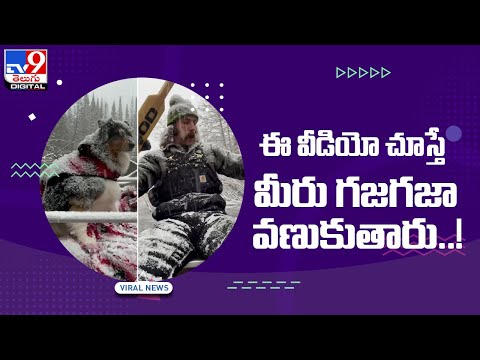 ఈ వీడియో చూస్తే  మీరు గజగజా వణుకుతారు..! - TV9