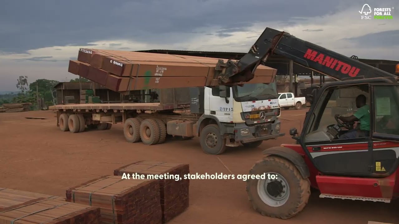 Congo Basin forestry gains momentum: #COMIFAC, #FSC stakeholder meeting concludes in Cameroon