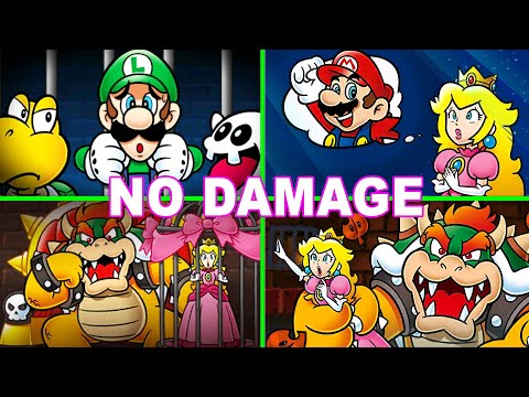 Super Mario 3D Land Full Game (No Damage)