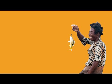 "We've seen it work" - 20 Years of Blue Ventures in Madagascar