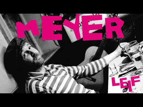 Aus Der Bahn - Peter Meyer