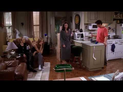 Friends, season 5 episode 12. Ross slept with Janice.