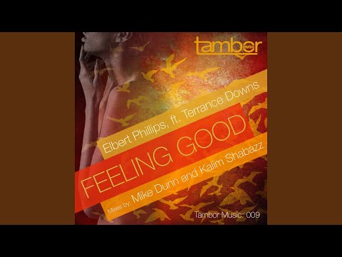 Feeling Good (feat. Terrance Downs) (Kalim Shabazz Remix)