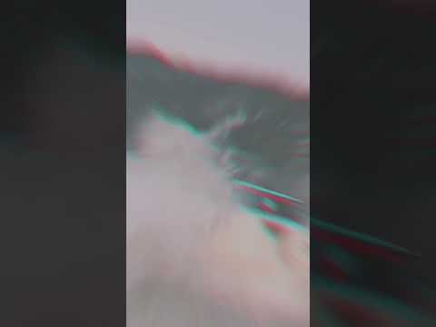 10 most popular hashtags relating to #thar in 2023 #thar-#shorts