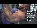 Bodybuilder Todd Whitting Looking Huge 2 Weeks Out In Arm Training Video