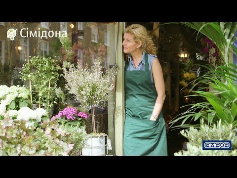 download lagu mp3 mp4 Amaxa Mirrors, download mp3 Amaxa Mirrors free download, download mp3 Amaxa Mirrors