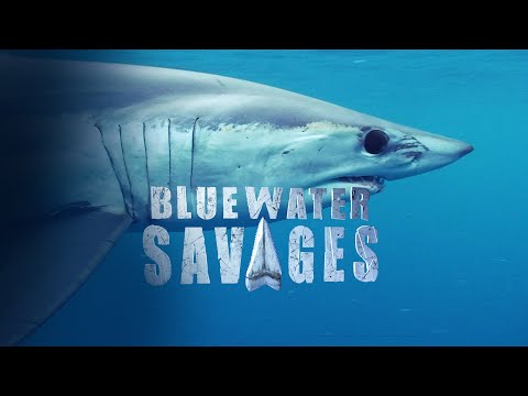 Blue Water Savages: Monster Mako