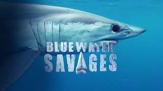 Download lagu Blue Water Savages: Monster Mako mp3