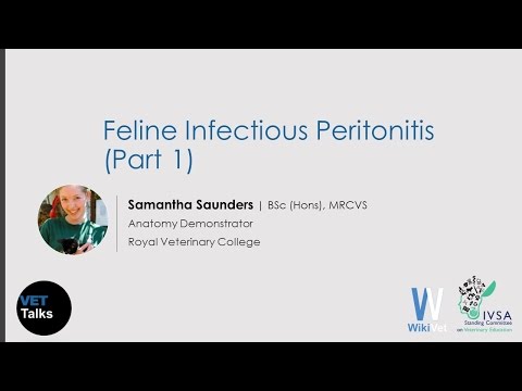 VET Talks- Feline Infectious Peritonitis (Part 1)