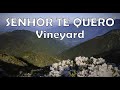 SENHOR TE QUERO Vineyard Vem Esta é A Hora Letra Legendada