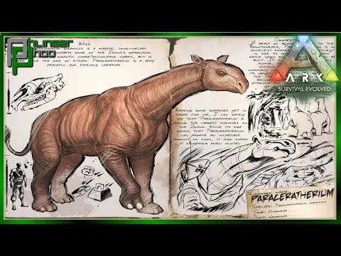 Ark Basics Paraceratherium - Mobile Base Extraordinaire - EVERYTHING YOU NEED TO KNOW!