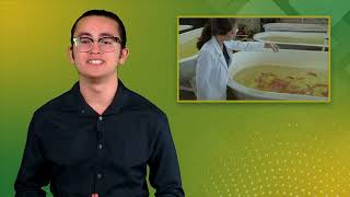 Informativo UABC - Emisión #2 | Noticiero universitario