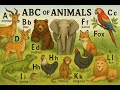 ABC Animals Fun Facts Learn A Z With Cool Creatures