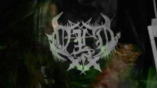 OLD - Down With The Nails