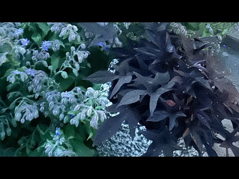 Vi måste också vara beredda