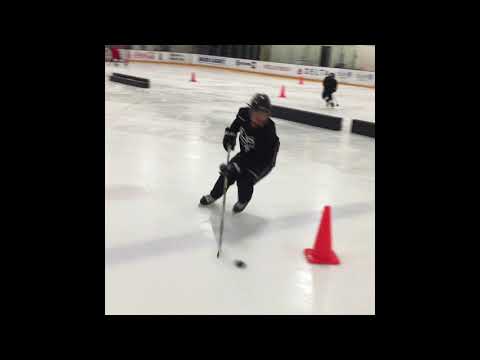 Swedish Hockey Coach In LA, Swedish Elite Skill Clinic